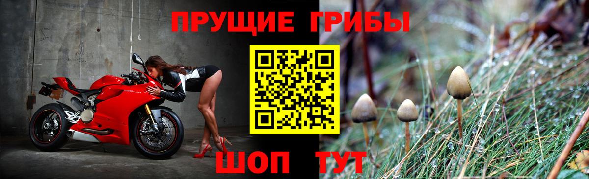Псилоцибиновые грибы Magic Shrooms  что такое   Керчь  Вход с VPN 